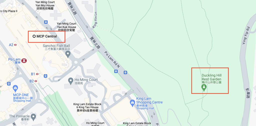 MCP Central to Duckling hill Po Lam - LifewithPinky